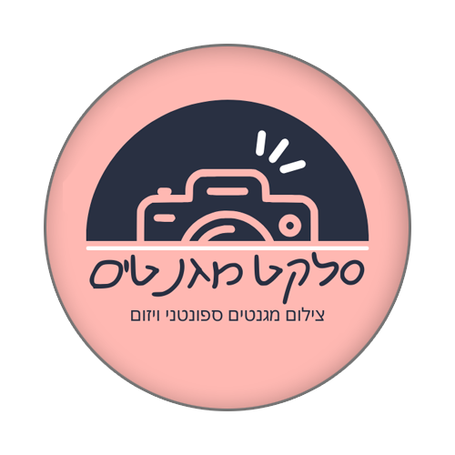 Smagnetim Logo